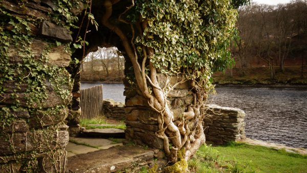 secret spot in Dunkeld