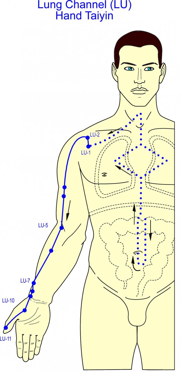 Lu-Meridian Verlauf