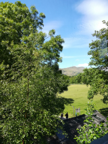 View from my Shiatsu space in Ambleside